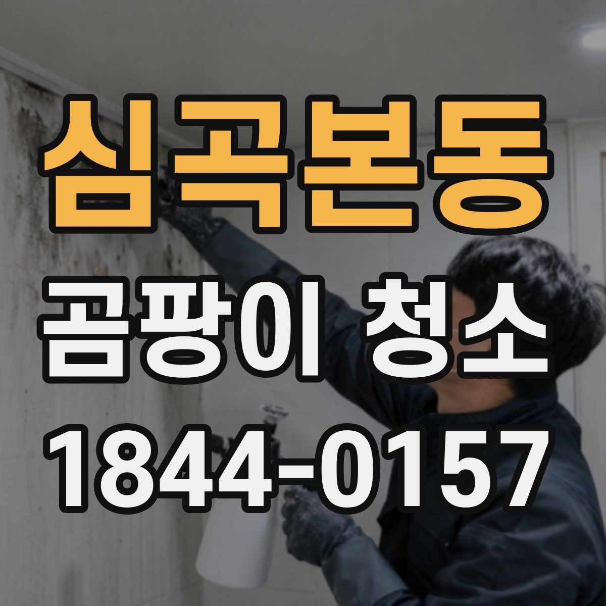심곡본동 곰팡이 청소