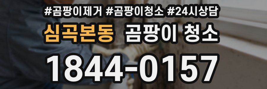 심곡본동 곰팡이 청소
