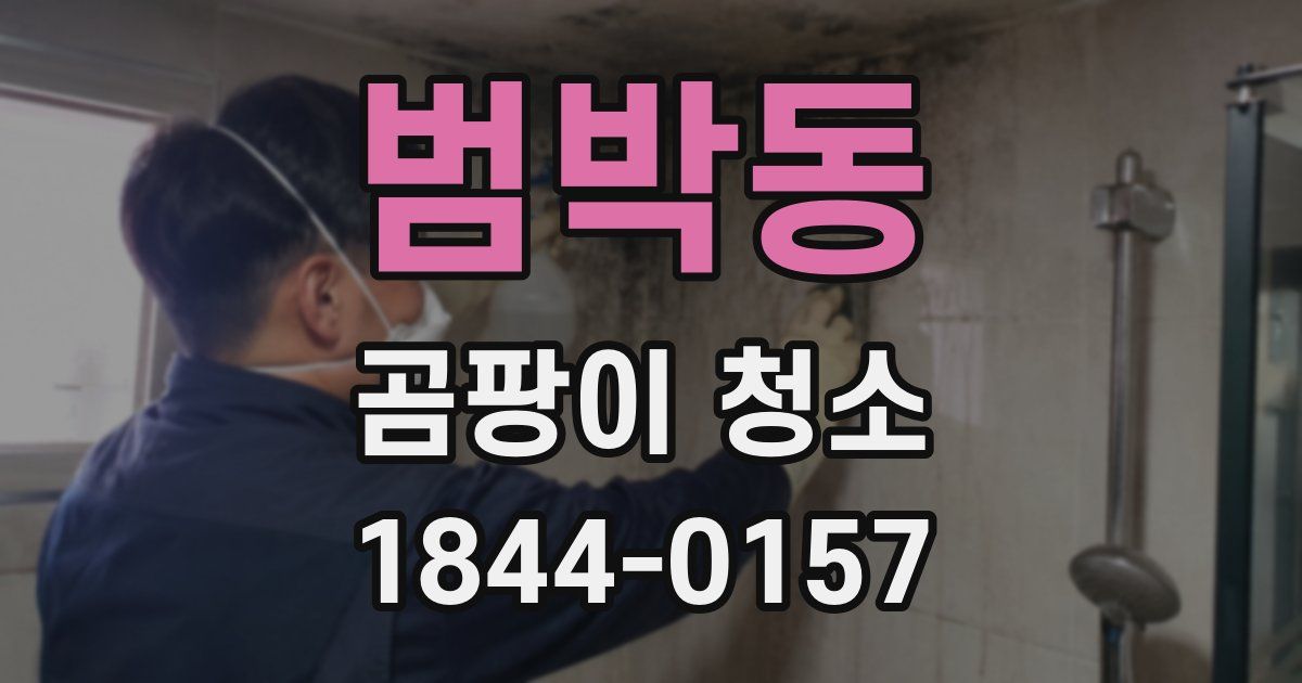범박동 곰팡이 청소