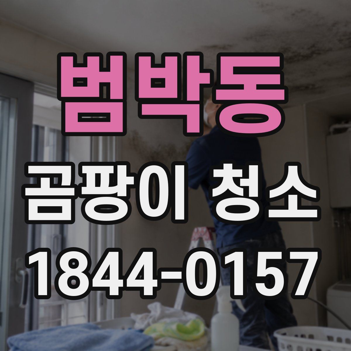 범박동 곰팡이 청소