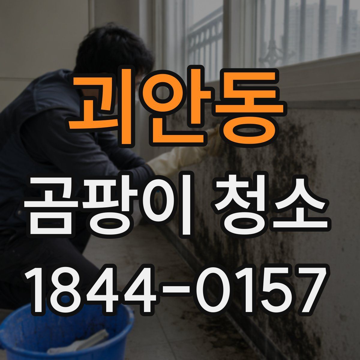 괴안동 곰팡이 청소