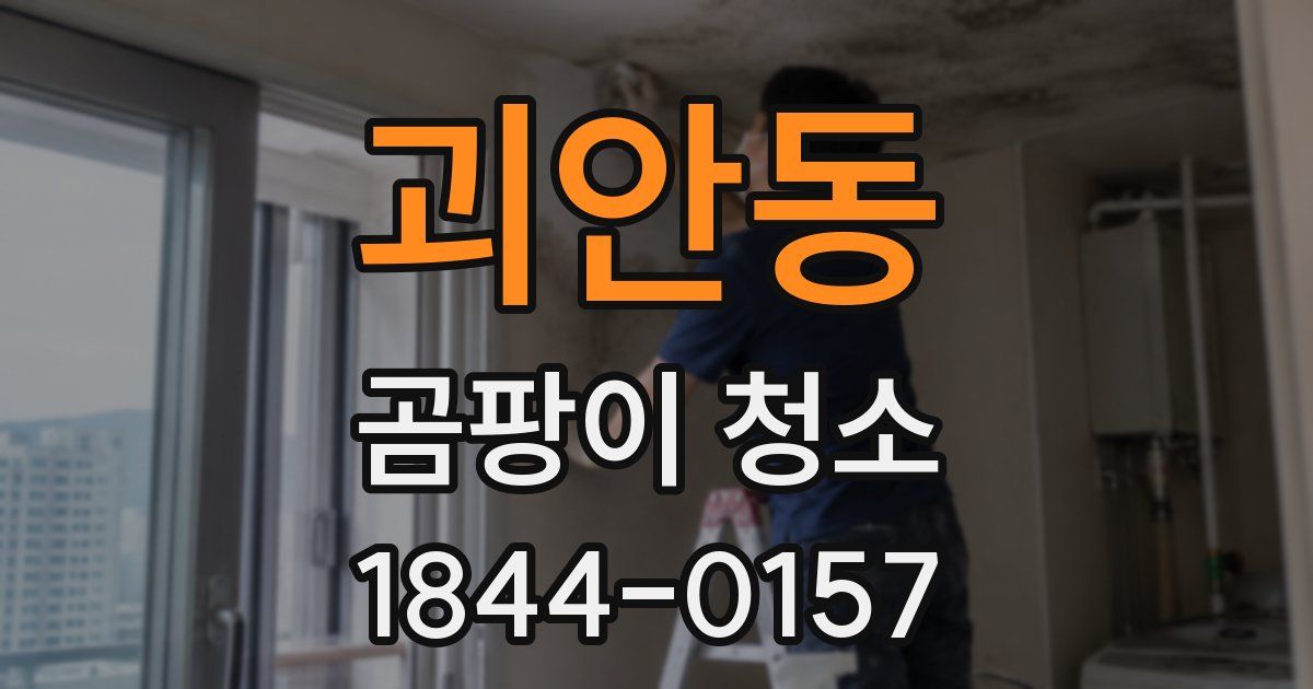 괴안동 곰팡이 청소