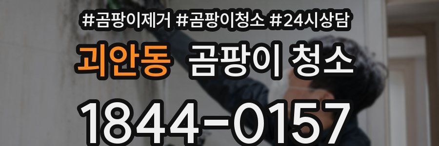 괴안동 곰팡이 청소