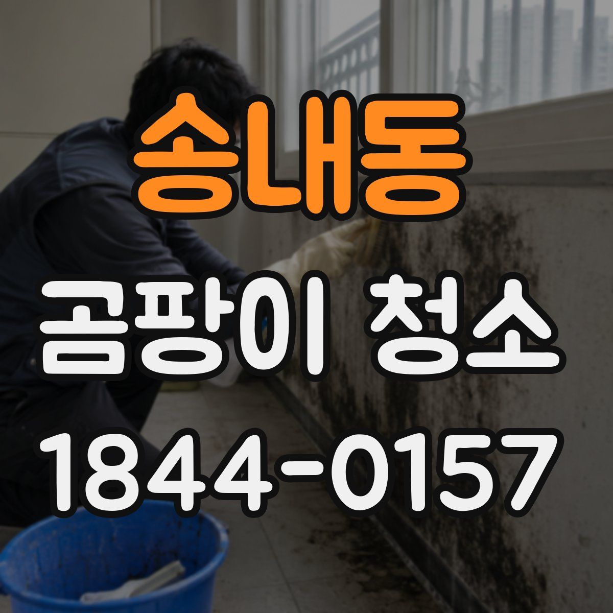 송내동 곰팡이 청소