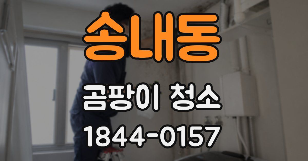 송내동 곰팡이 청소