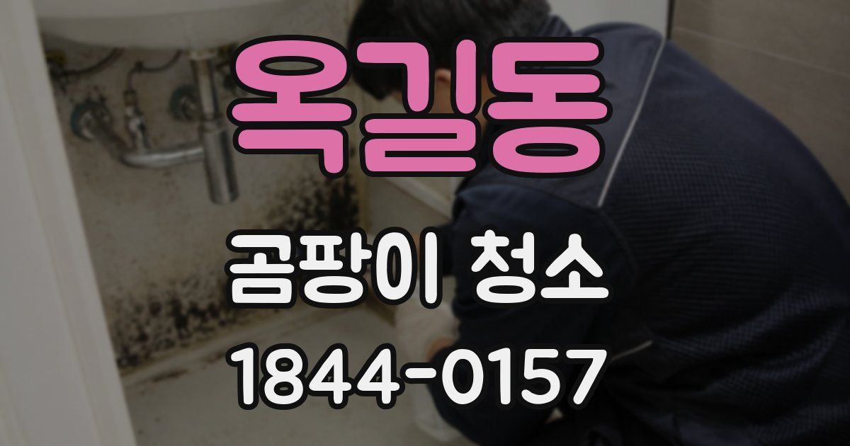 옥길동 곰팡이 청소