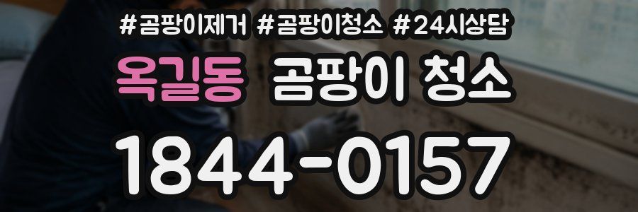 옥길동 곰팡이 청소