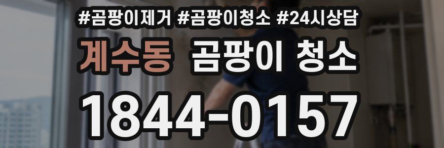 계수동 곰팡이 청소