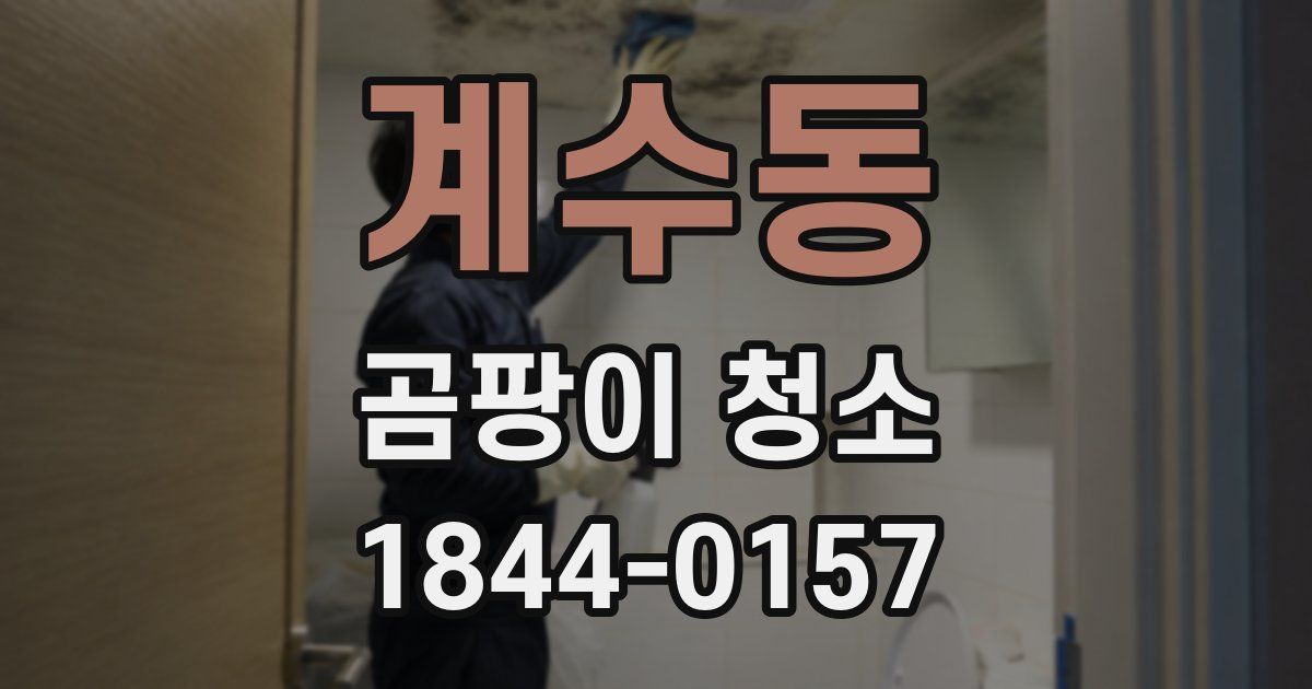 계수동 곰팡이 청소