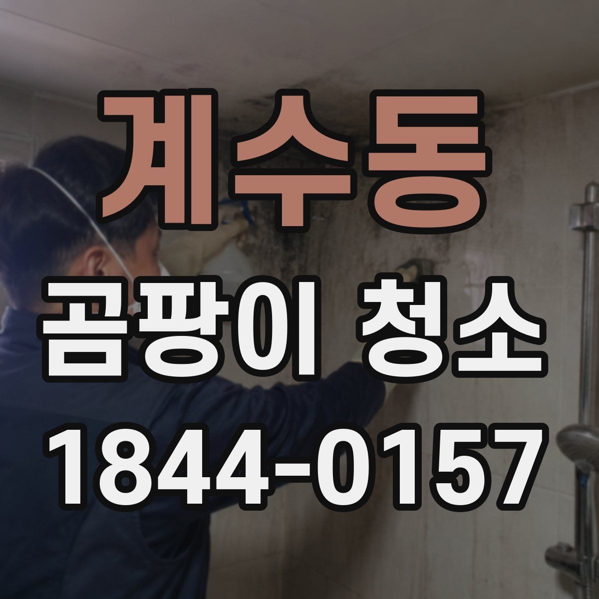 계수동 곰팡이 청소