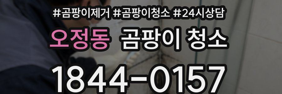 오정동 곰팡이 청소