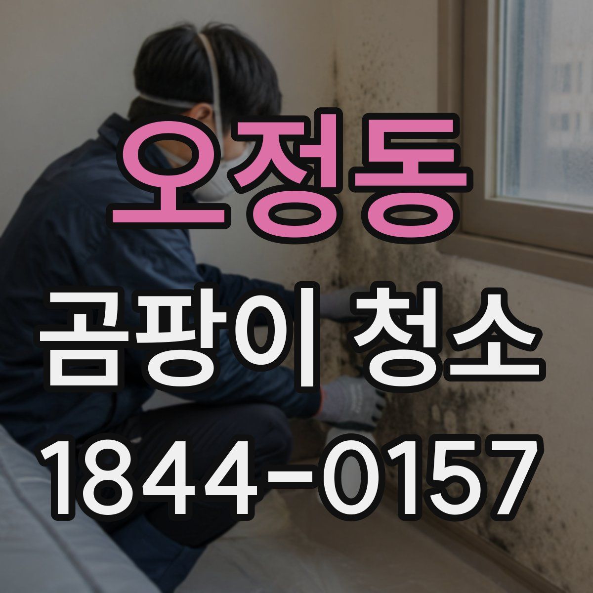 오정동 곰팡이 청소