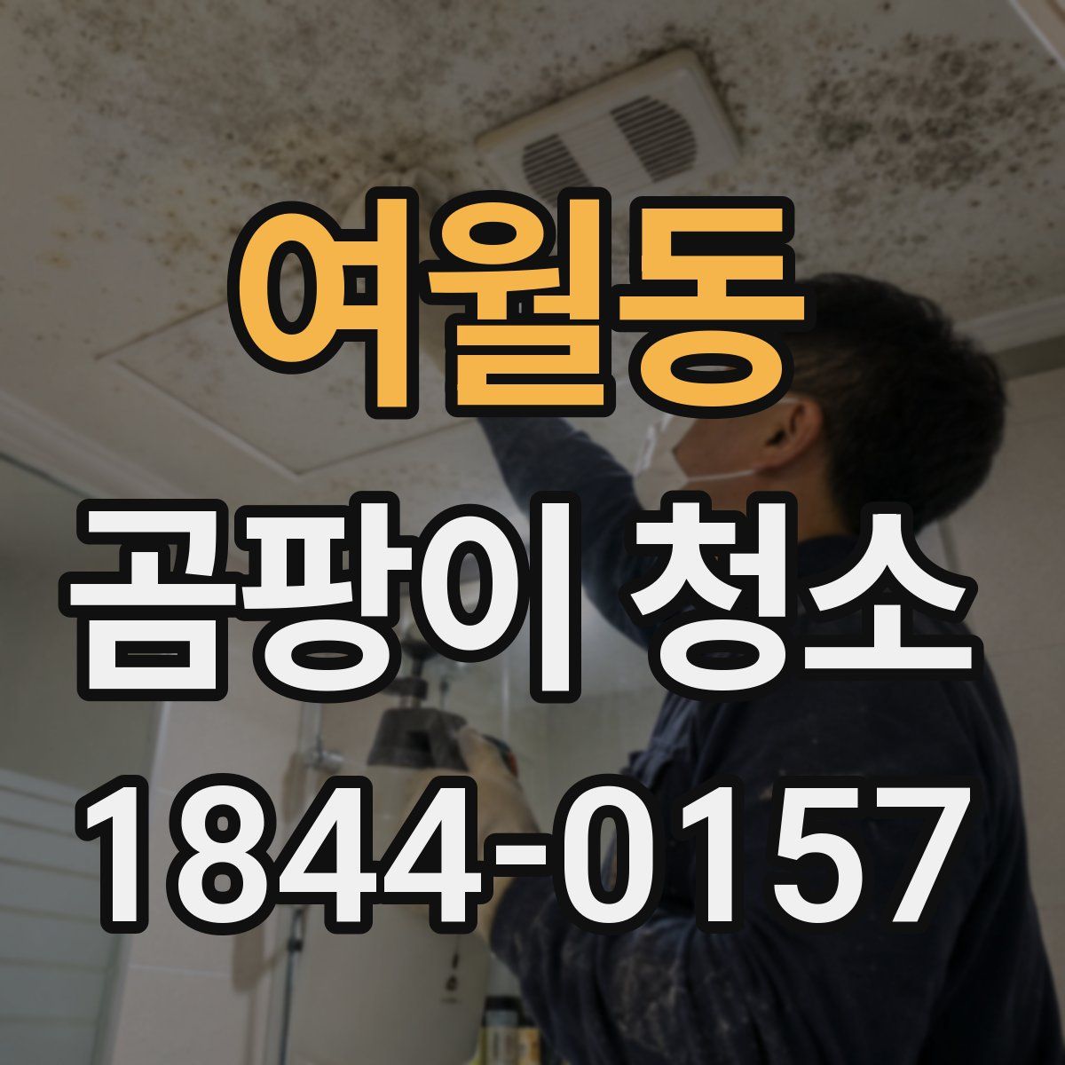 여월동 곰팡이 청소