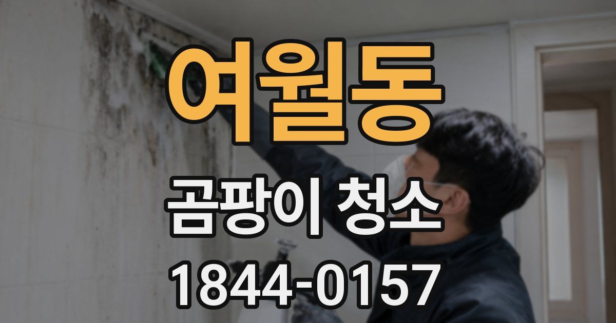 여월동 곰팡이 청소