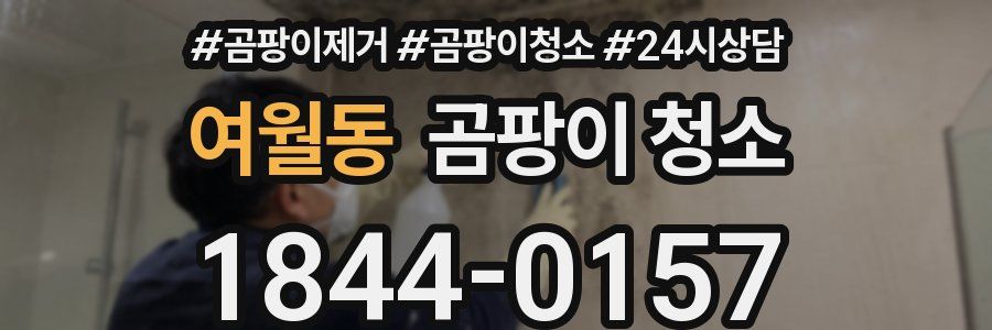 여월동 곰팡이 청소