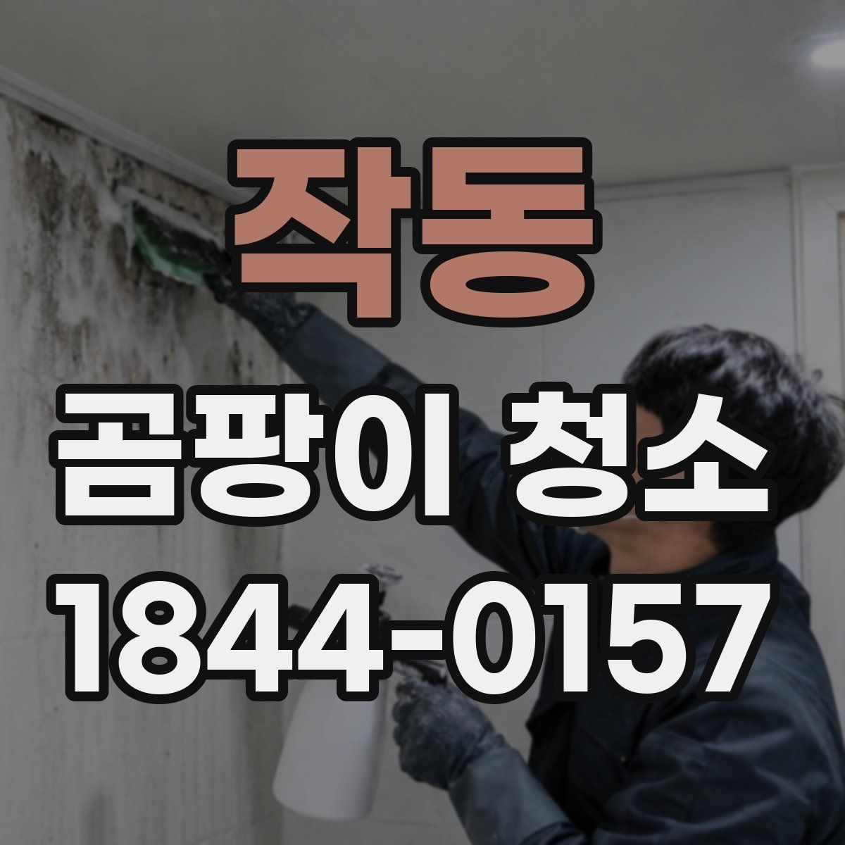 작동 곰팡이 청소