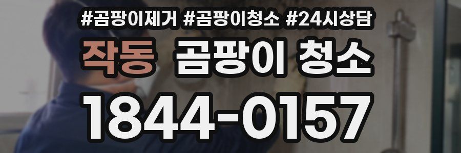 작동 곰팡이 청소
