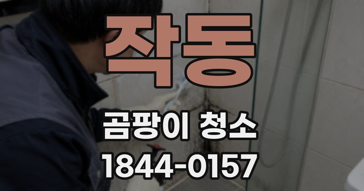 작동 곰팡이 청소