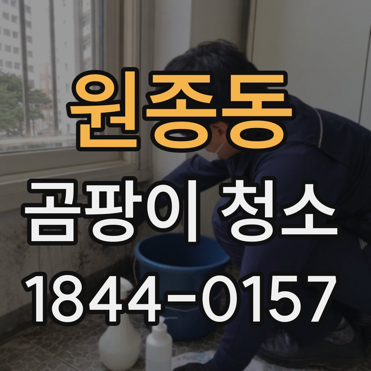 원종동 곰팡이 청소