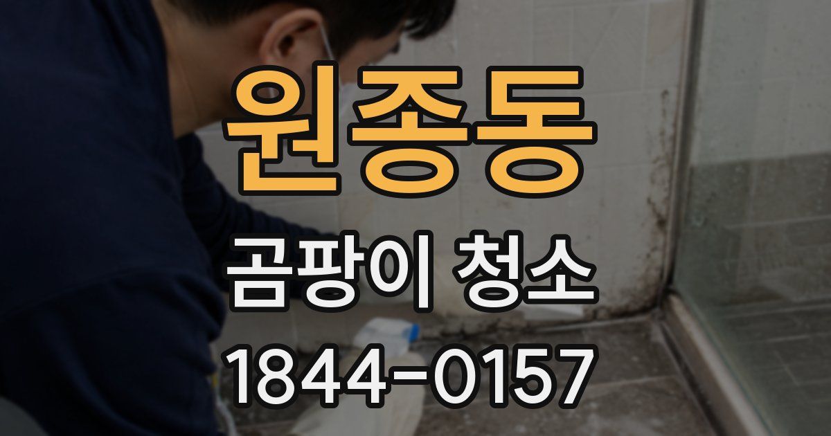 원종동 곰팡이 청소