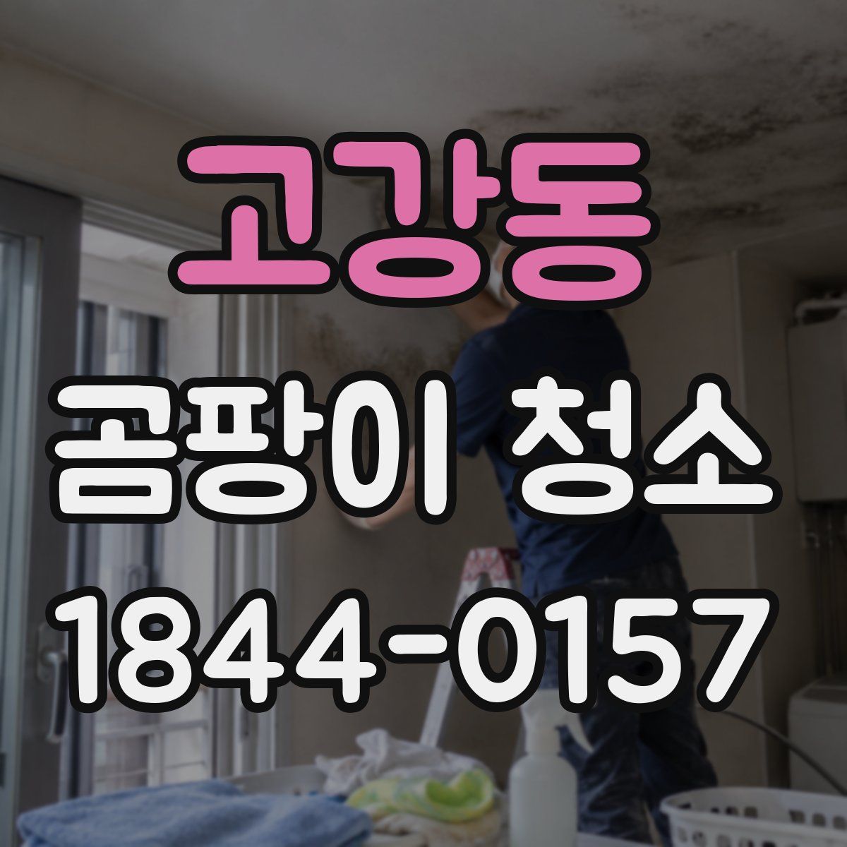 고강동 곰팡이 청소