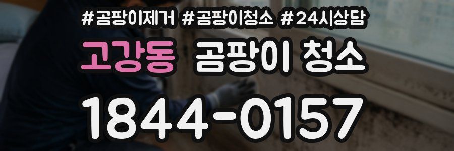 고강동 곰팡이 청소