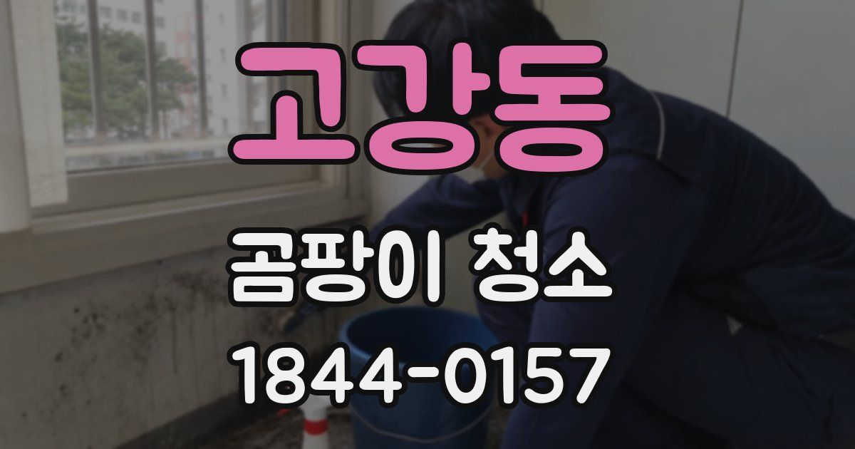 고강동 곰팡이 청소