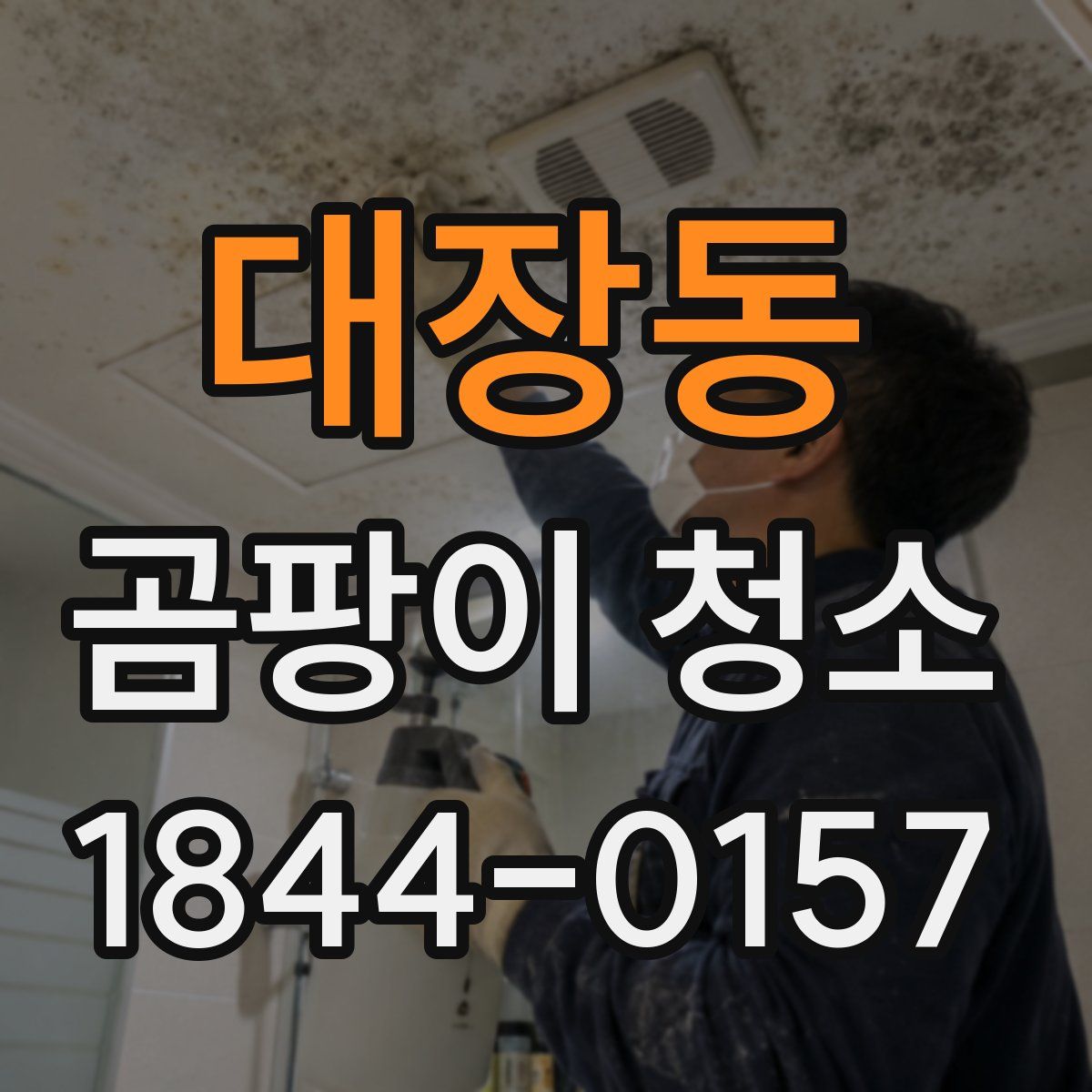 대장동 곰팡이 청소