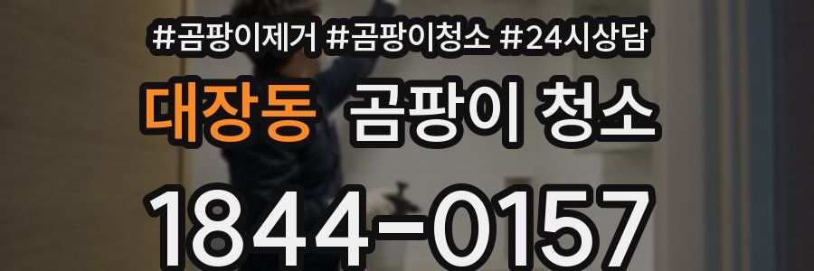 대장동 곰팡이 청소