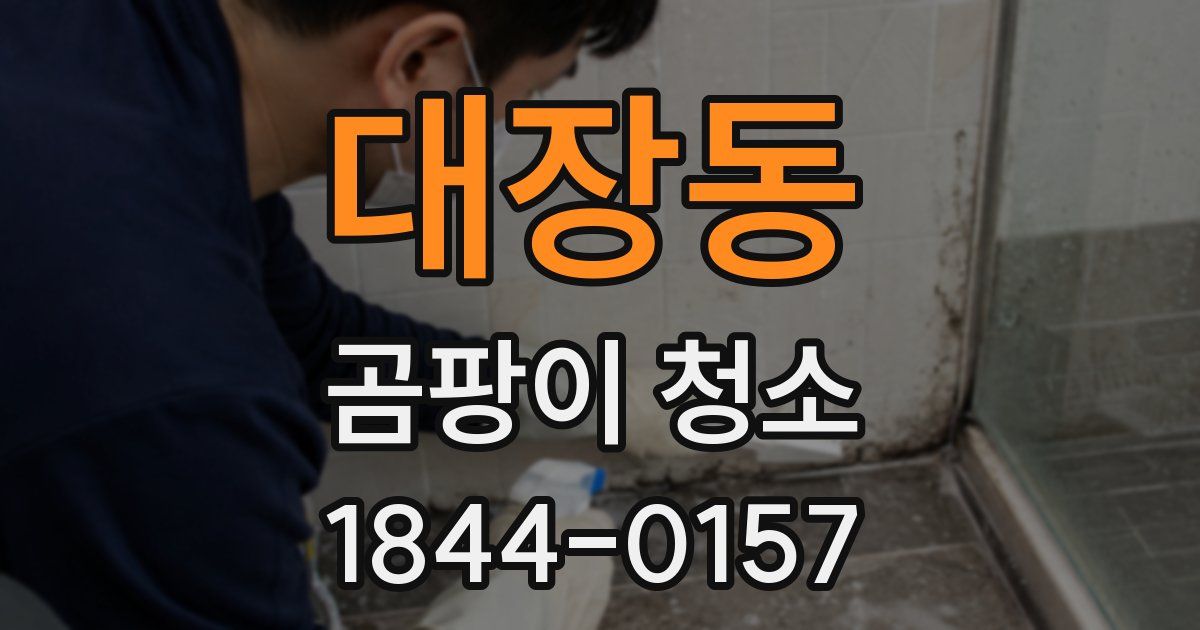 대장동 곰팡이 청소