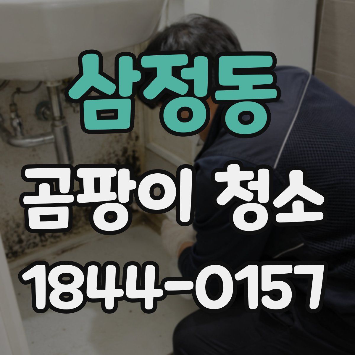 삼정동 곰팡이 청소