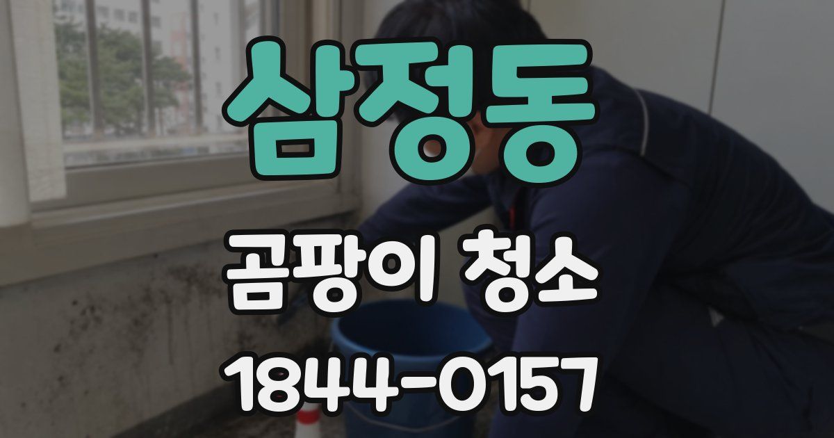삼정동 곰팡이 청소