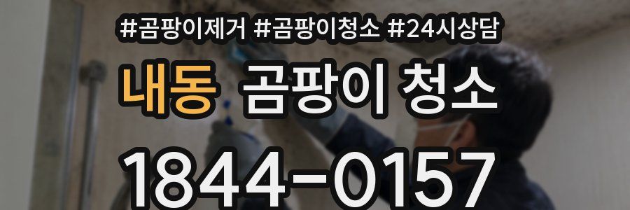 내동 곰팡이 청소