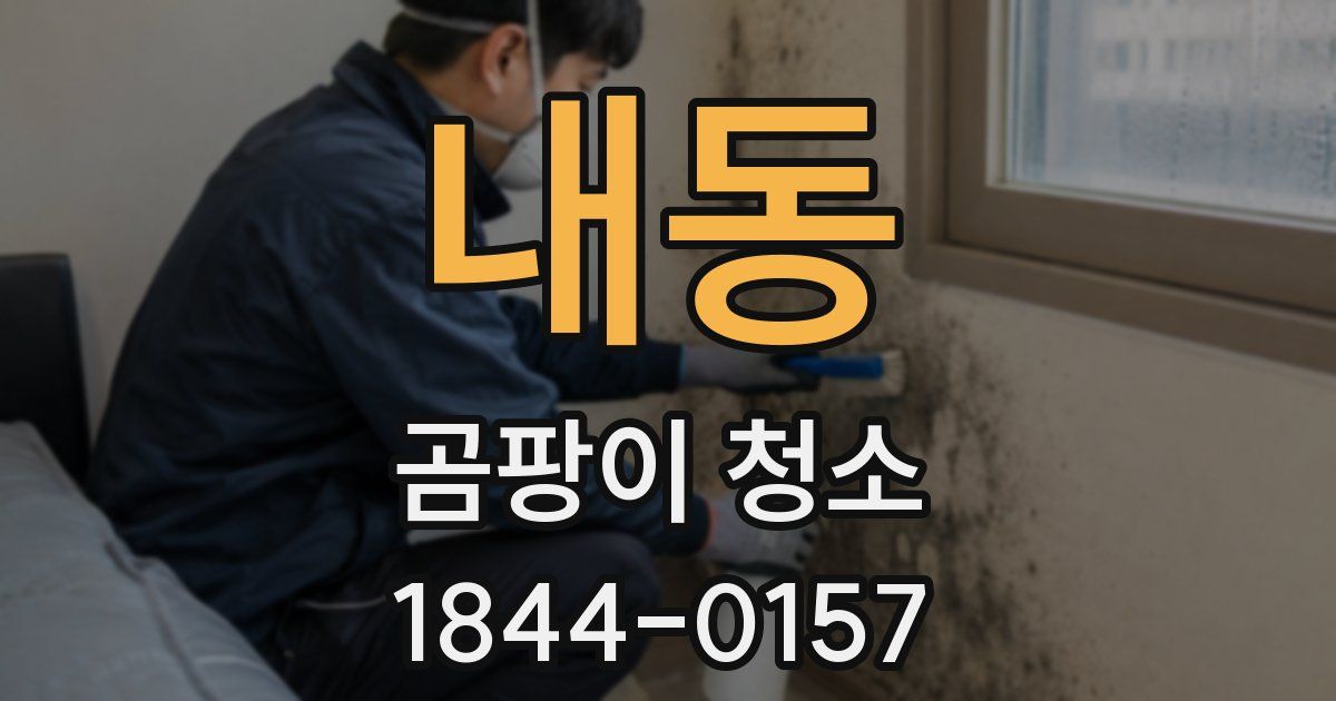 내동 곰팡이 청소