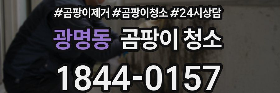 광명동 곰팡이 청소
