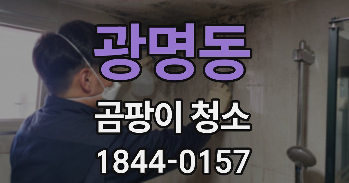 광명동 곰팡이 청소
