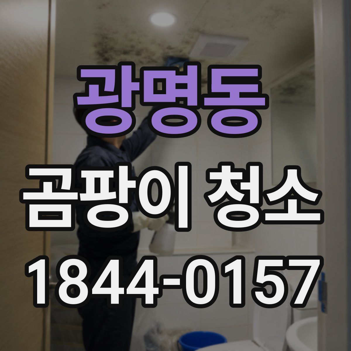 광명동 곰팡이 청소