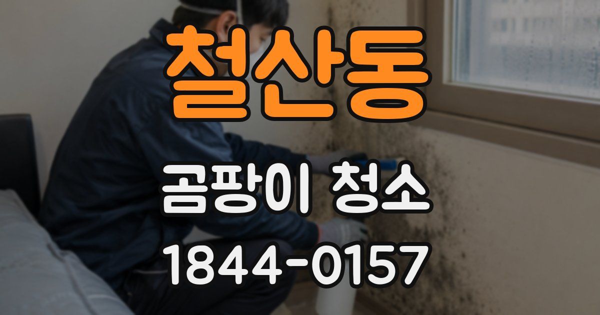 철산동 곰팡이 청소
