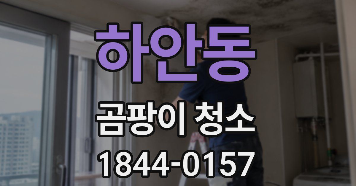 하안동 곰팡이 청소