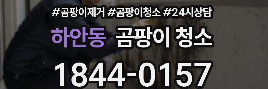 하안동 곰팡이 청소
