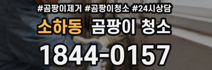 소하동 곰팡이 청소