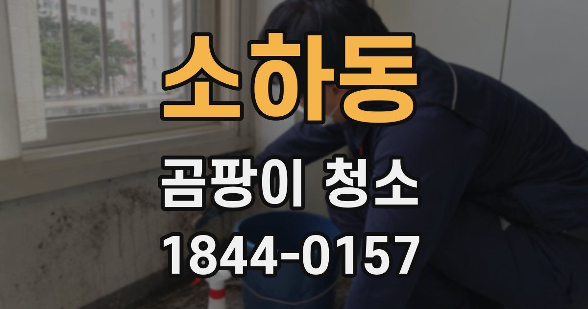 소하동 곰팡이 청소