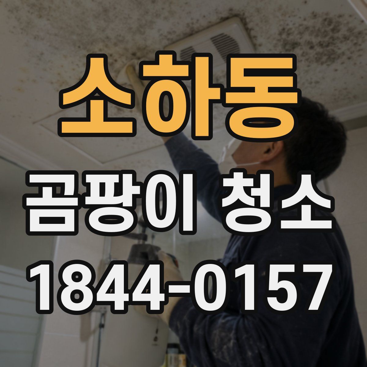 소하동 곰팡이 청소