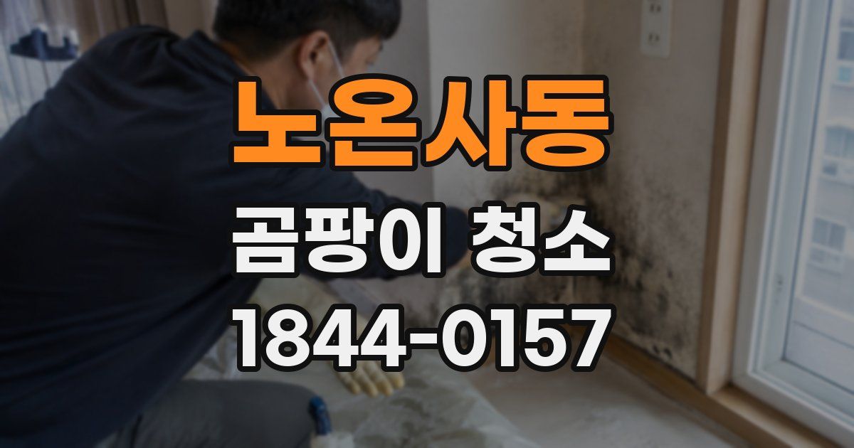 노온사동 곰팡이 청소