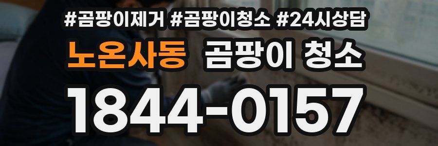 노온사동 곰팡이 청소