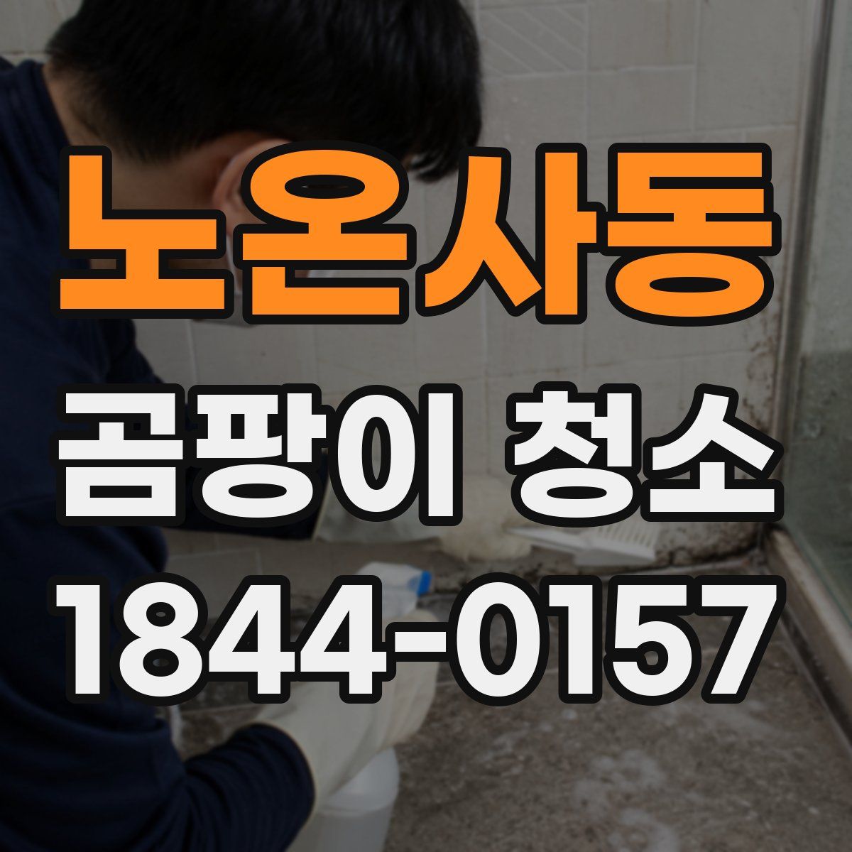 노온사동 곰팡이 청소