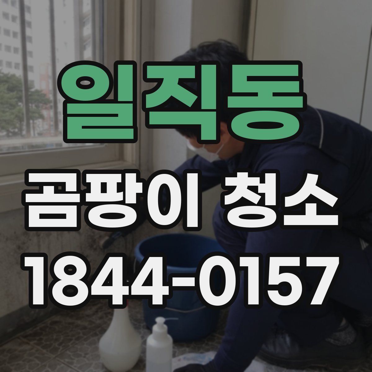 일직동 곰팡이 청소