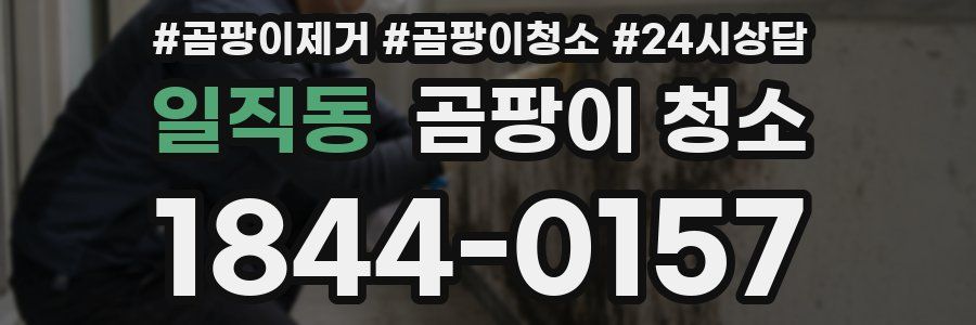 일직동 곰팡이 청소