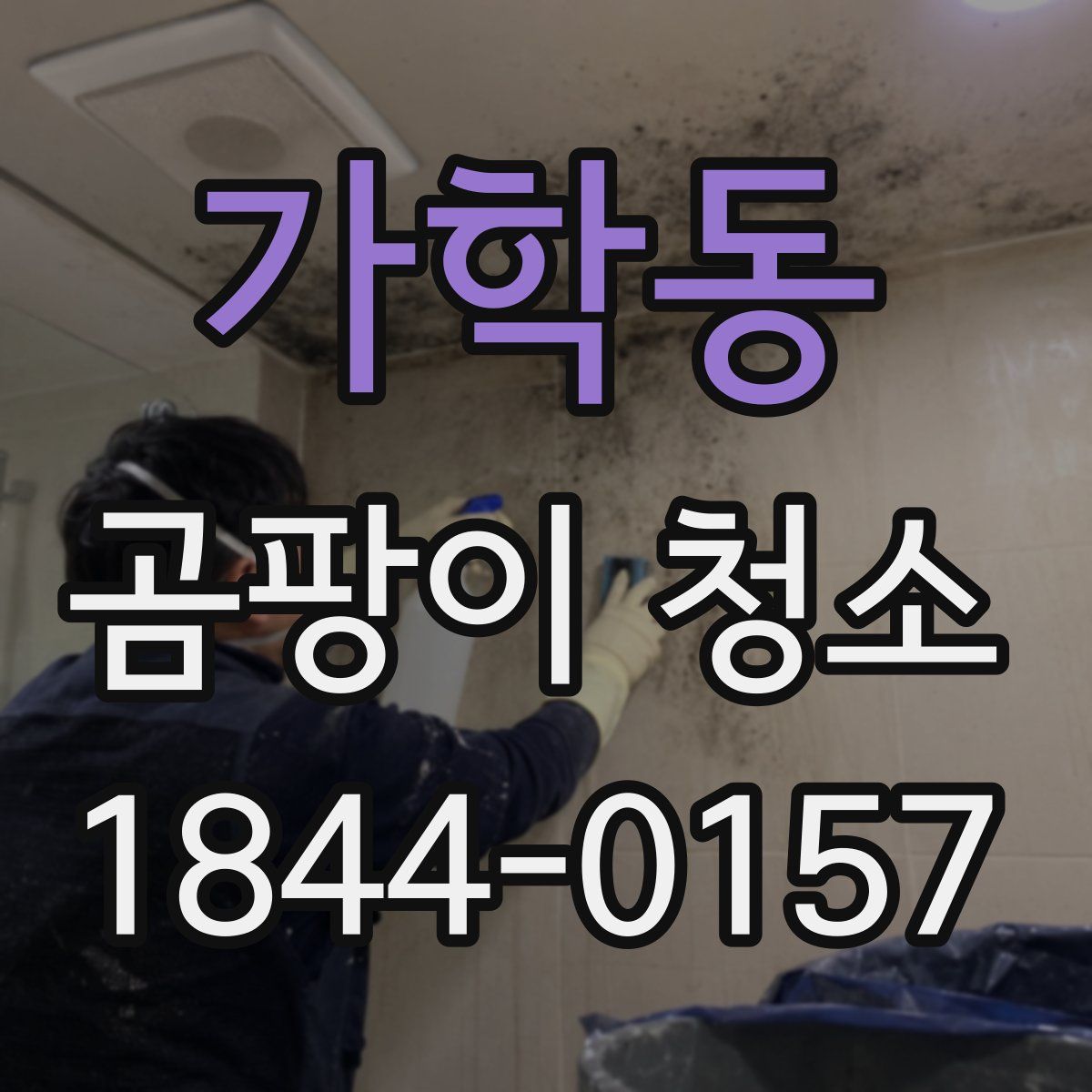 가학동 곰팡이 청소