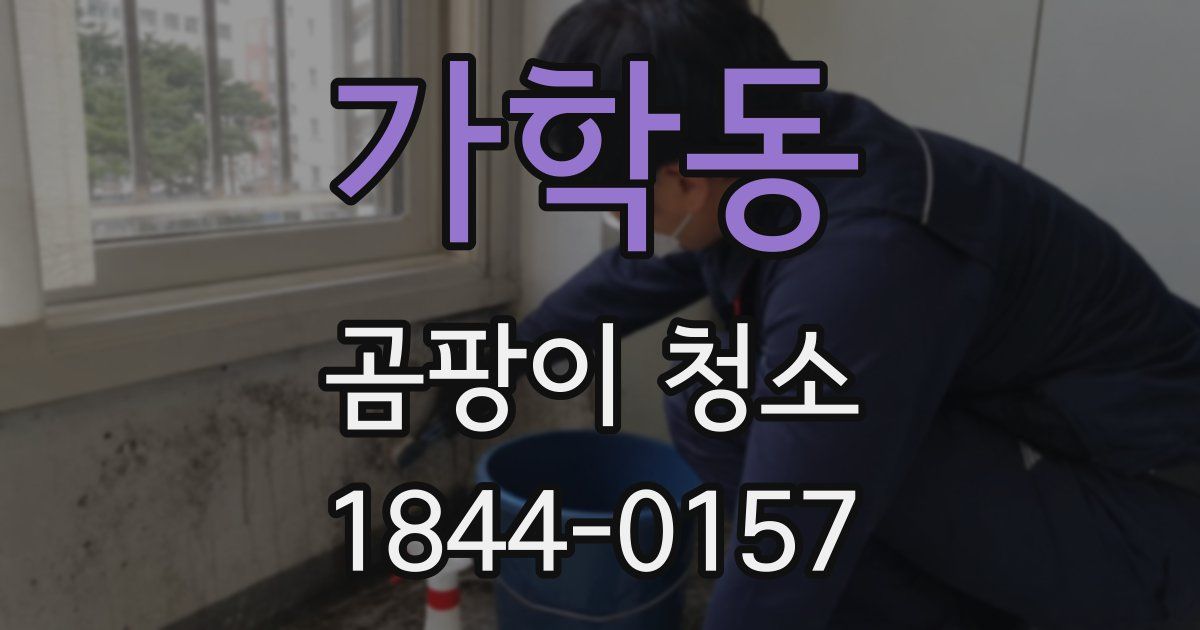 가학동 곰팡이 청소